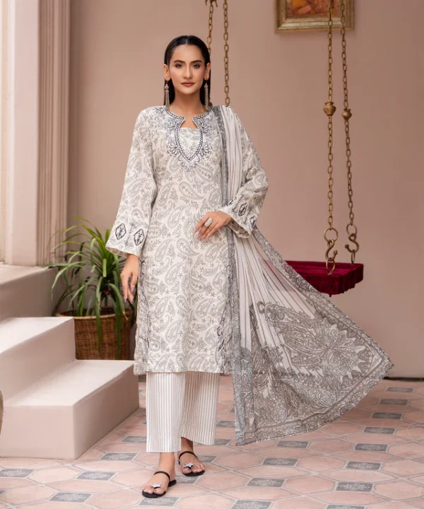 3PC Printed Embroidered Suit